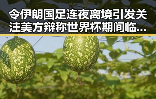 令伊朗国足连夜离境引发关注 美方辩称世界杯期间临阵换帅有先例
